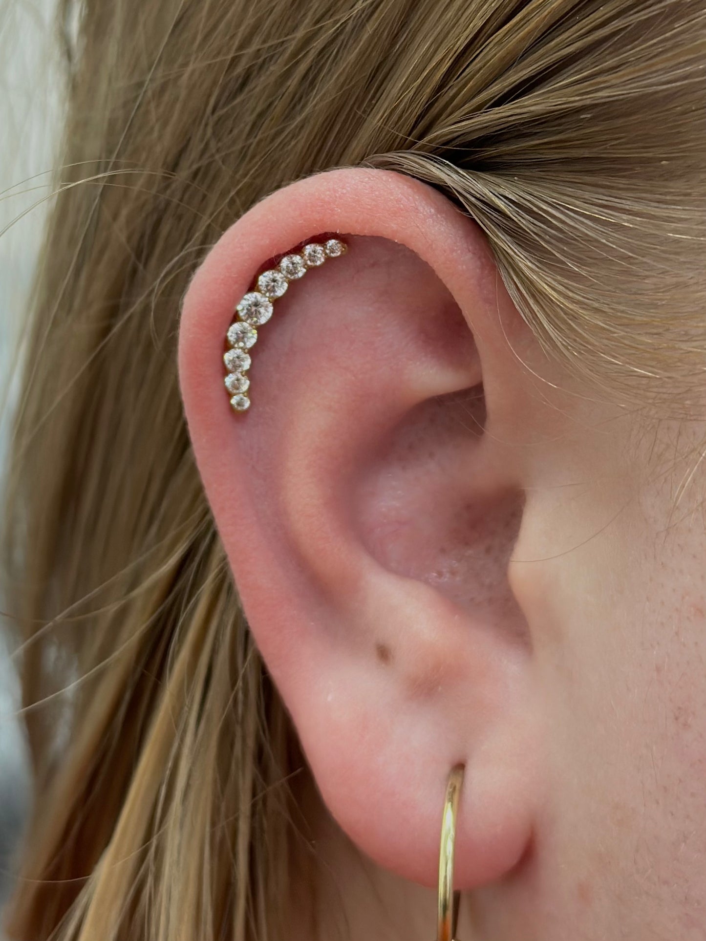 Titanium Luxury Crown labret