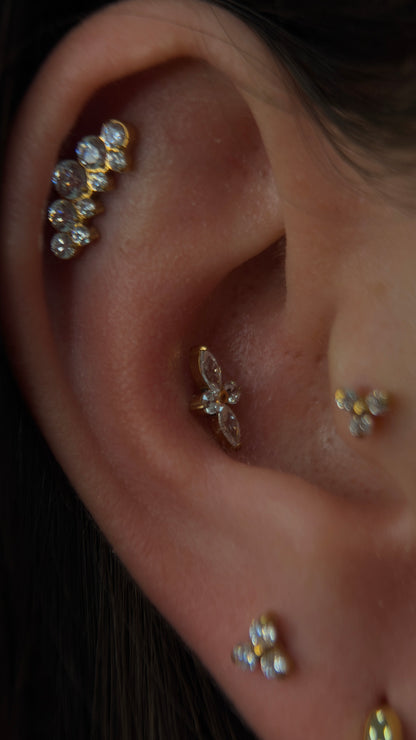 Titanium Marstar labret