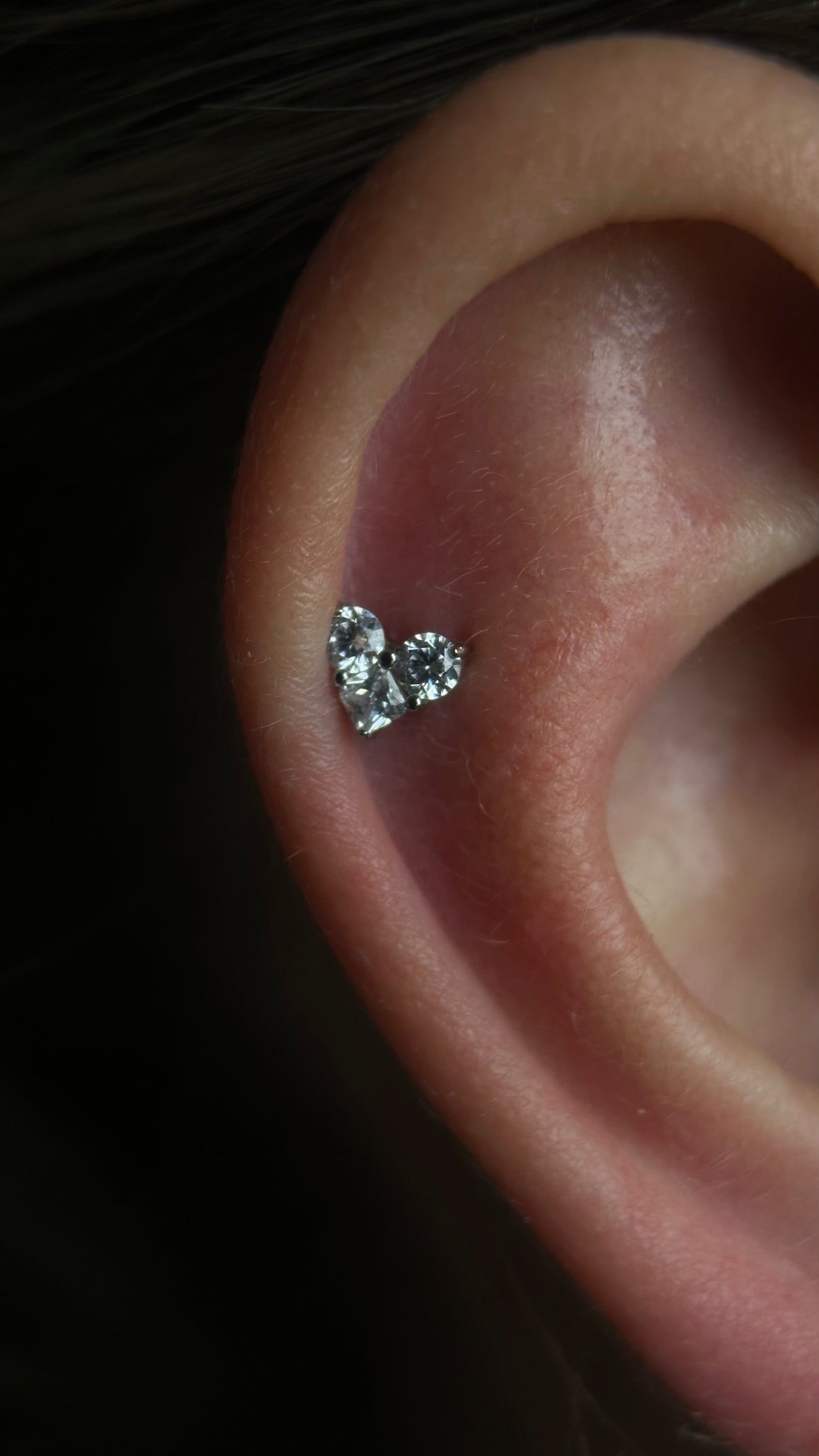 Titanium Zircona Hearth labret