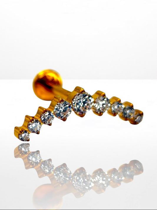 Titanium Luxury Crown