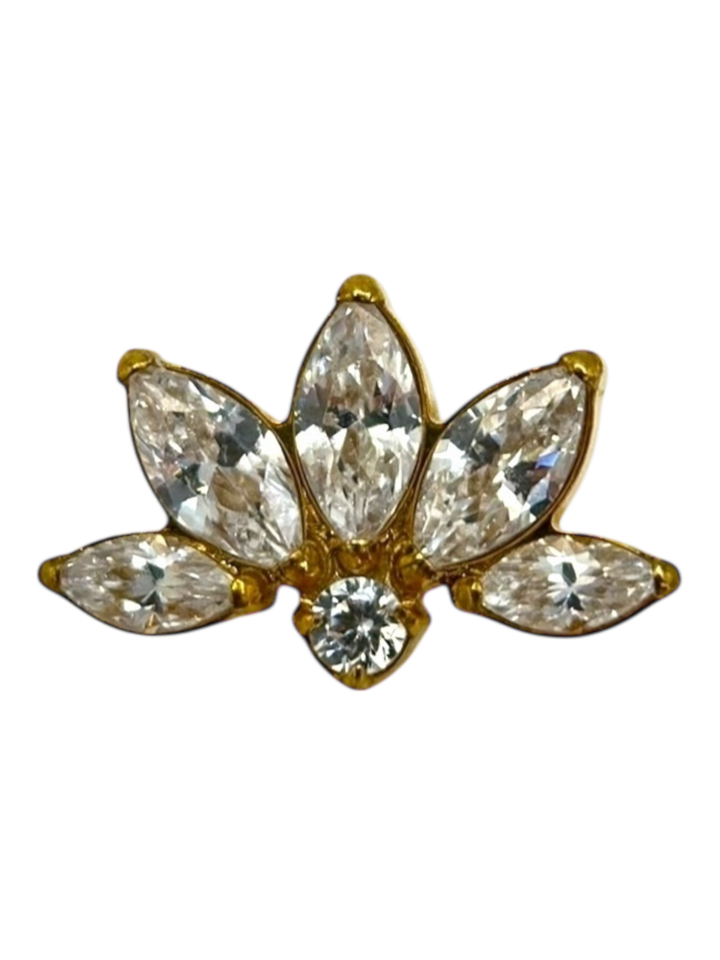 Titanium 5 Marquise & crystal labret