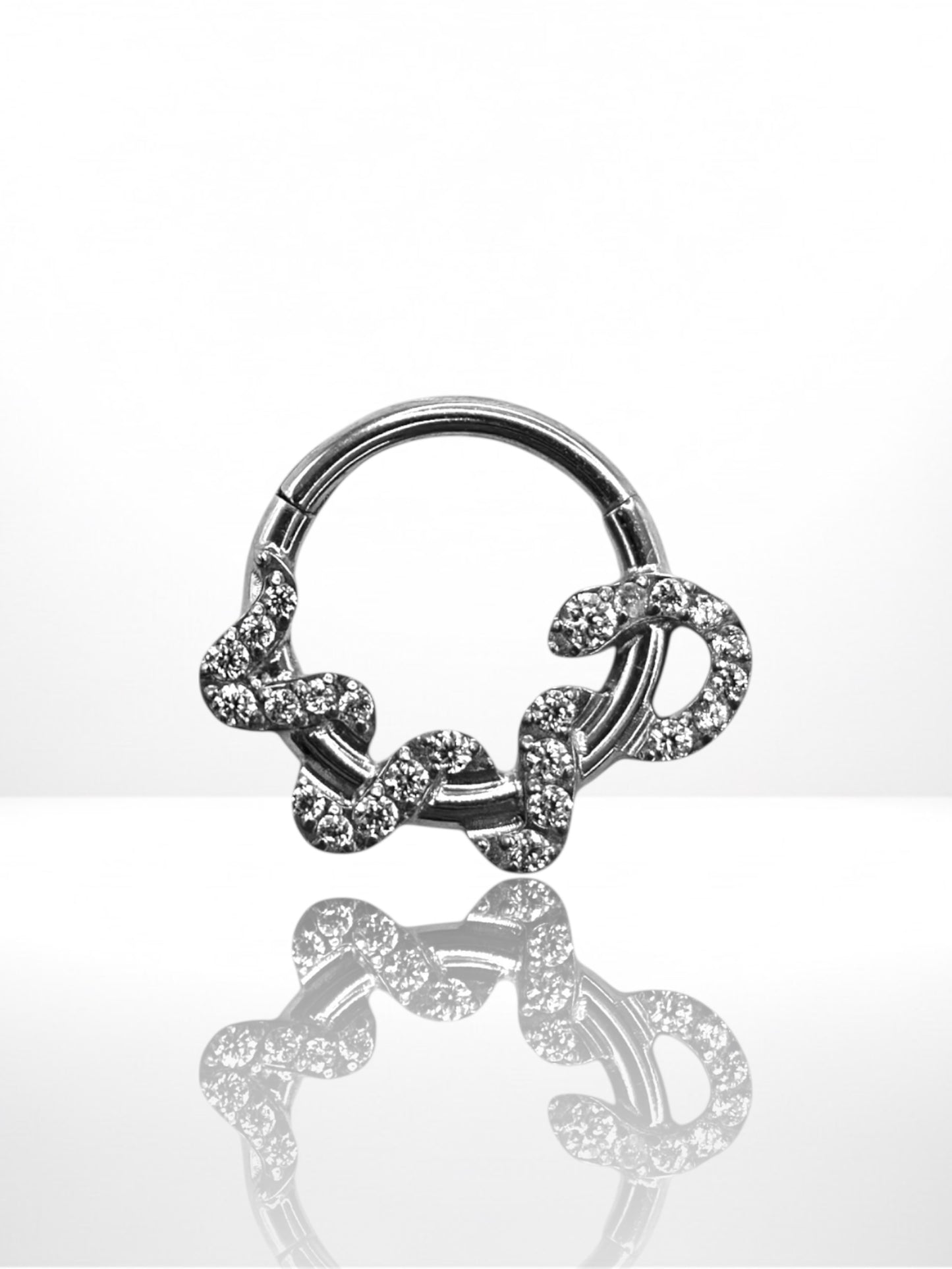 Titanium Snake Zircona side segment