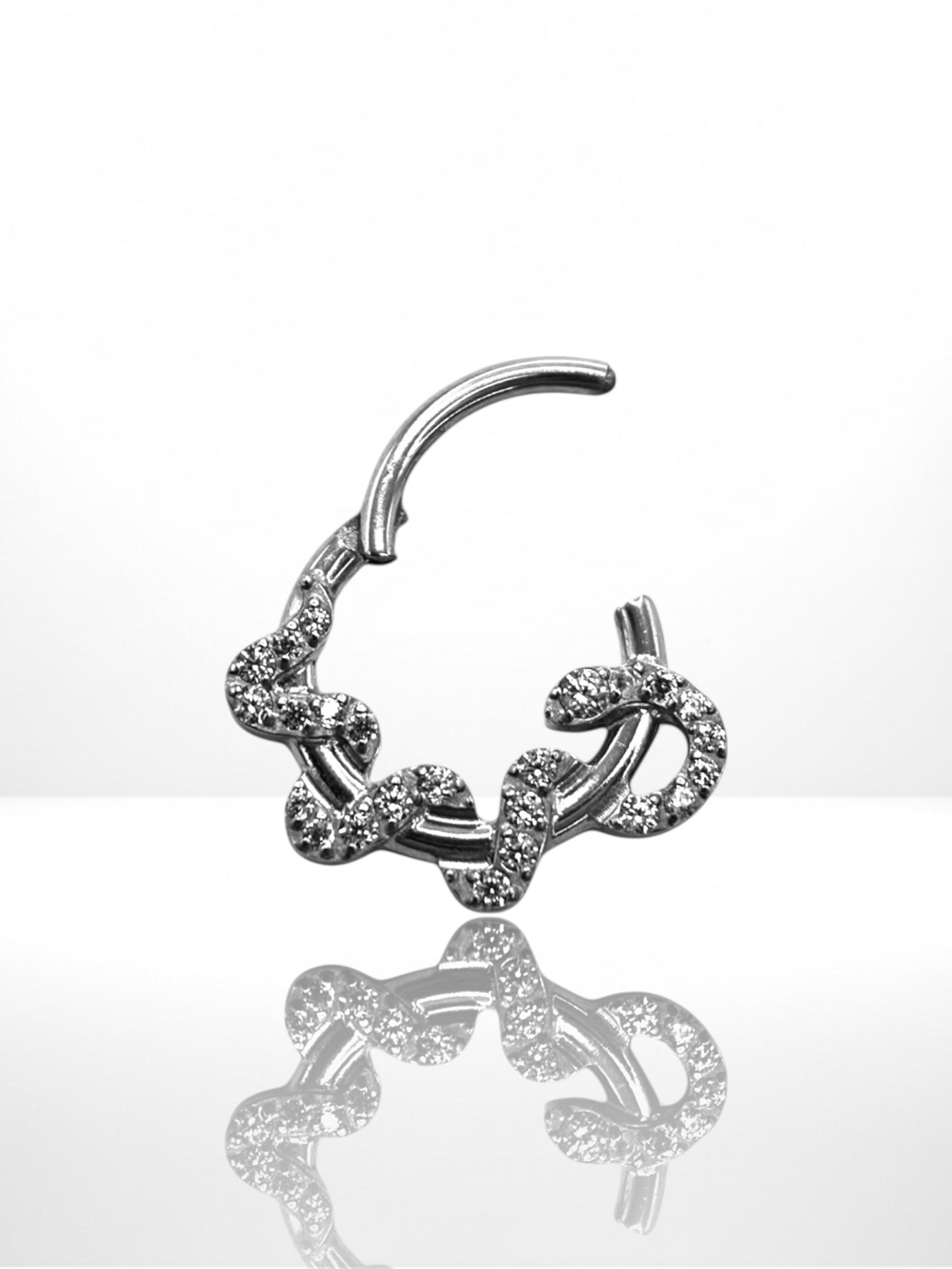 Titanium Snake Zircona side segment